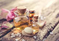 ¿Qué aceite es mejor para reducir las estrías Echa un vistazo a los ingredientes más eficaces para el cuidado de la piel